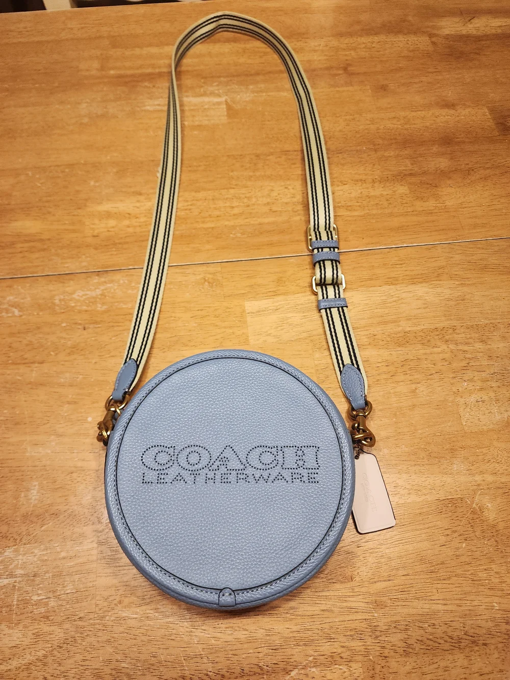 Coach Light Blue Round Crossbody Bag - Signature Leather